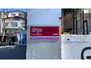 Japon Yarbay Yukichi Tsumura’ya Beykoz’dan vefa