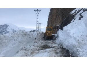 Hizan’da zorlu karla mücadele çalışması