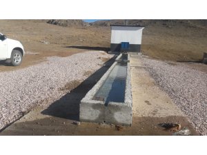 Aksaray’da köylere hayvan içme suyu tesisi yapıldı
