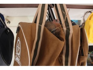 Züccaciye dükkanın önüne asılan çanta kuşların yuvası oldu