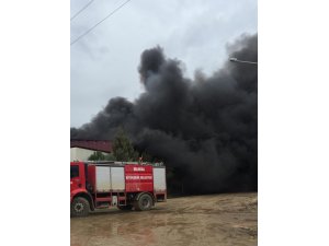 Manisa’da geri dönüşüm tesisinde yangın