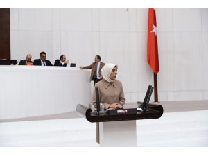 AK Parti MKYK Üyesi ve Erzurum Milletvekili Zehra Taşkesenlioğlu Ban, TBMM genel kurulunda konuştu