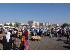 Viranşehir’de hayvan pazarı kapatıldı