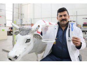 Sivas’ta bir veteriner hekim, ineklerin karında gaz ve sıvı birikimini ortadan kaldıran ürün geliştirdi
