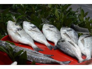 Balık piyasasında durgunluk