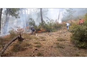 Balıkesir’de orman yangını