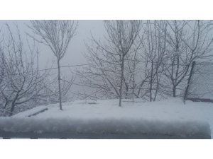 Hakkari’de kar yağışı