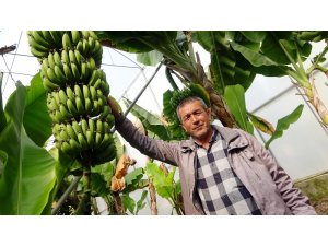 Korona’ya inat Türk çiftçisi üretiyor