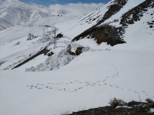 Nisan ayında kar kalınlığının 5 metreyi bulduğu yolda çalışma