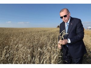 Erdoğan, Başkan Öz’ün dile getirdiği talebi çözüme kavuşturdu
