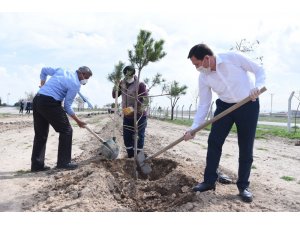 Başkan Hasan Kılca: “Korona ağaç sevgimizi engelleyemez”