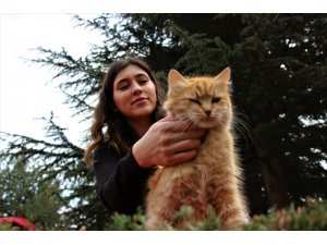 Elazığ’da üniversite öğrencisi, sokak hayvanlarını besliyor