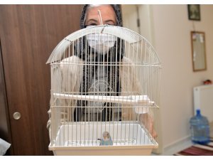 Vefa İletişim Merkezini arayıp muhabbet kuşu istedi