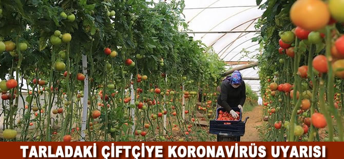 Bakanlıktan tarladaki çiftçiye Kovid-19 uyarısı
