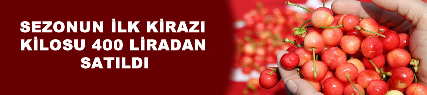 Sezonun ilk kirazı açık artırmayla kilogramı 400 liradan satıldı