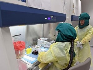 DSÖ’den ABD’ye yanıt: Corona virüsün laboratuvar çıkışlı olduğuna dair bir kanıt yok