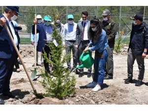 Elazığ’da sağlık çalışanları için hatıra ormanı