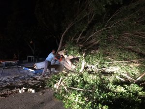 Antalya’da fırtına ağaçları kökünden söktü, elektrik direklerini yıktı