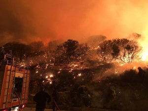 Antalya’nın Kaş ilçesinde orman yangını (1)