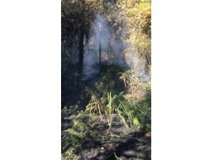 Sancaktepe’de orman yangını