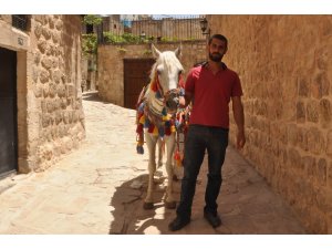 Mardin’in meşhur süslü atları ziyaretçilerini bekliyor