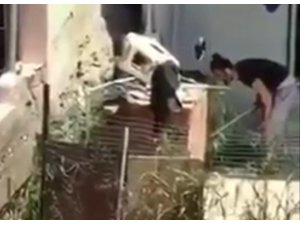İzmir’de köpeğe şiddet görüntüleri tepki çekti