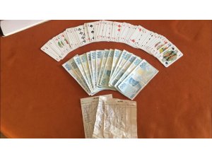 Antalya’da villaya kumar baskını