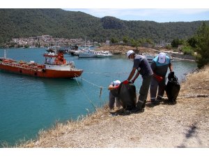 Fethiye’de bandolu kıyı temizliği