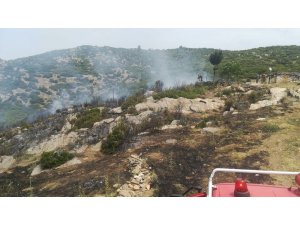 Bozdoğan’da makilik alanda yangın
