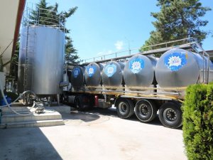 Amasya’da günlük 82 ton çiğ süt toplandı