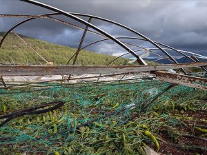 Doğal afetlerden zarar gören çiftçiye 780 milyon liralık tazminat ödenecek