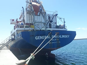 İtalya'da tutuklanan Palmali'ye ait 2 gemide bulunan, 29 mürettebat mağduriyet yaşıyor