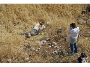 Diyarbakır’da boş arazide erkek cesedi bulundu