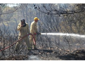 İzmir’de korkutan orman yangını ile ilgili bir şüpheli gözaltına alındı