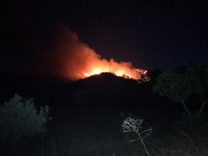 İzmir’de orman yangını