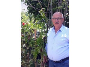 Çevre Araştırmacısı Yaşar: “Tortum şelalesi ve çevresinde 25 odunsu tür yaşıyor”