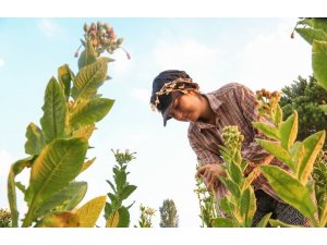 Bayburtlu çiftçiler afet sigortası konusunda uyarıldı