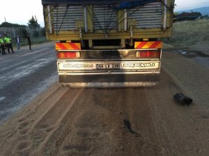 Amasya’da 2 kamyon çarpıştı: 2 yaralı