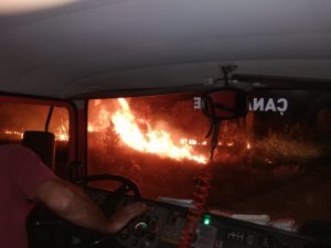 Biga’da orman yangını