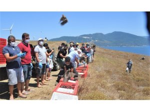Paşalimanı adasında 750 keklik doğaya salındı
