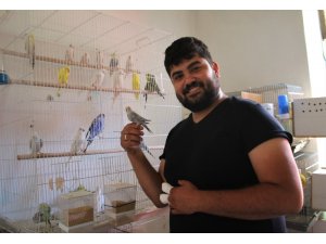 Genç cami imamı hobi olarak kuş yetiştiriciliği yapıyor