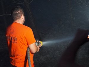 Edirne’deki orman yangını kontrol altına alındı