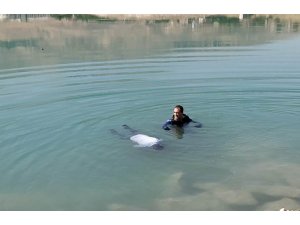 Malatya’da gölette bir ceset bulundu