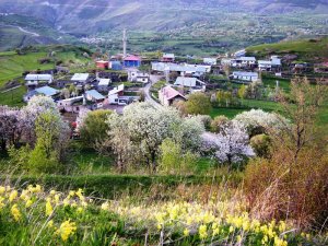 Ardahan’ın ilçelerinde Müftü, Posof’un köylerinde imam yok