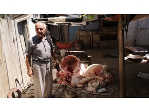 Kurbanlık aldığı hayvan ‘tüberkülozlu’ çıktı