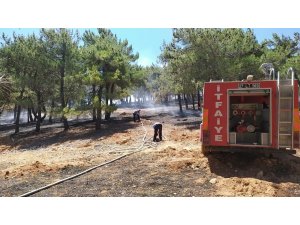 Gaziantep’teki orman yangını söndürüldü