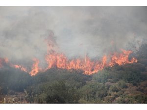 İzmir’de Menderes’in ardından Bornova’da da yangın çıktı