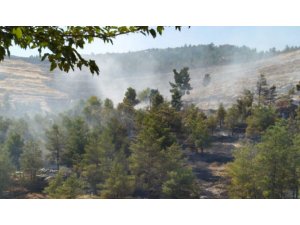 Halfeti’de çıkan orman yangını 16 saatte söndürüldü