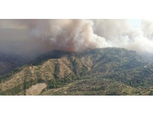 Yangında 140 hektar zirai alan zarar gördü
