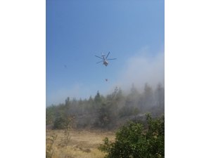 Kırkağaç’taki orman yangını söndürüldü
